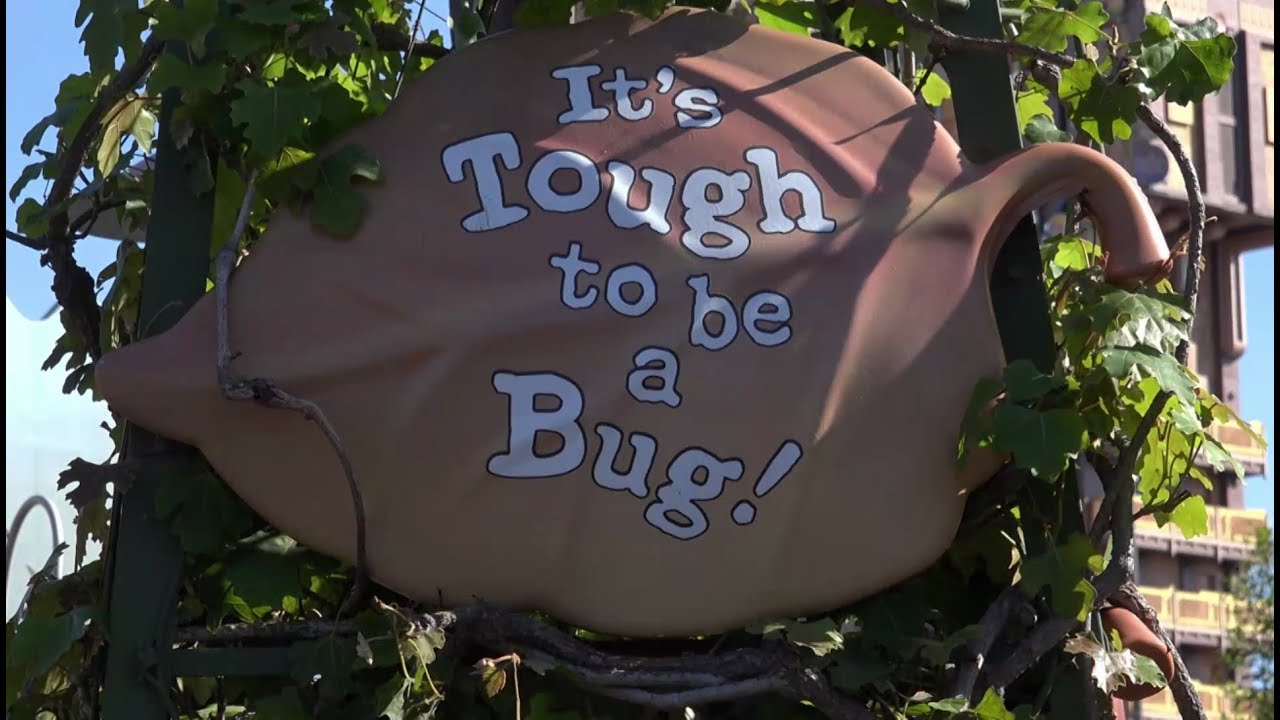 Its Tough to be a Bug DCA by Martin