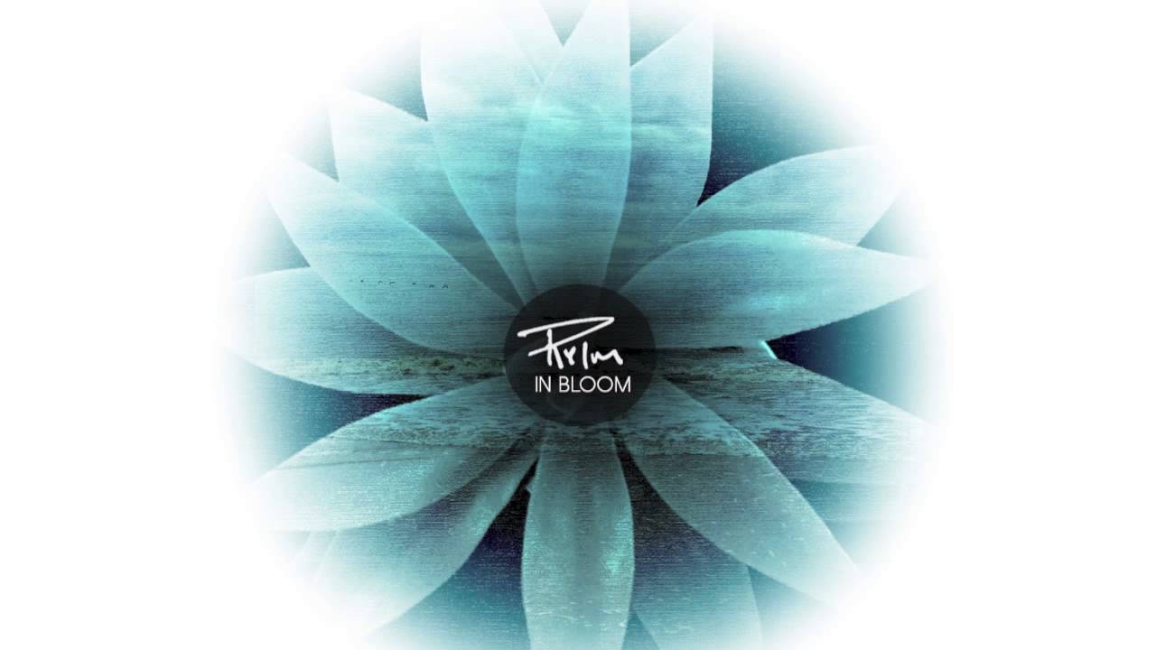 RyIm - A Paradise Haunting