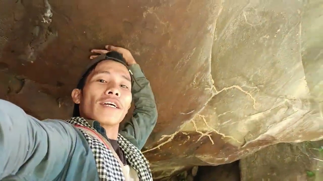 I Saw a Big Stone 🪨 In The Jungle 