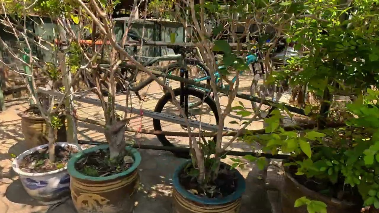 深井 荃錦
