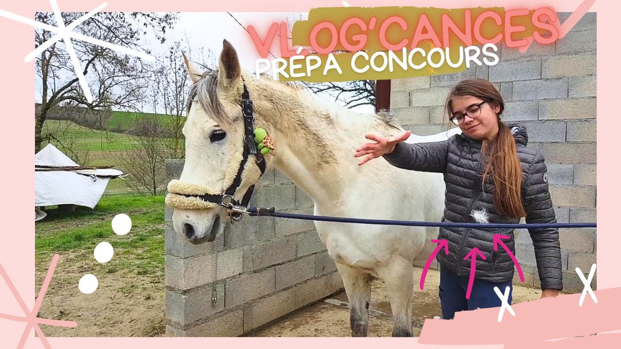 Prépa Concours CSO {Vlog'Cances}