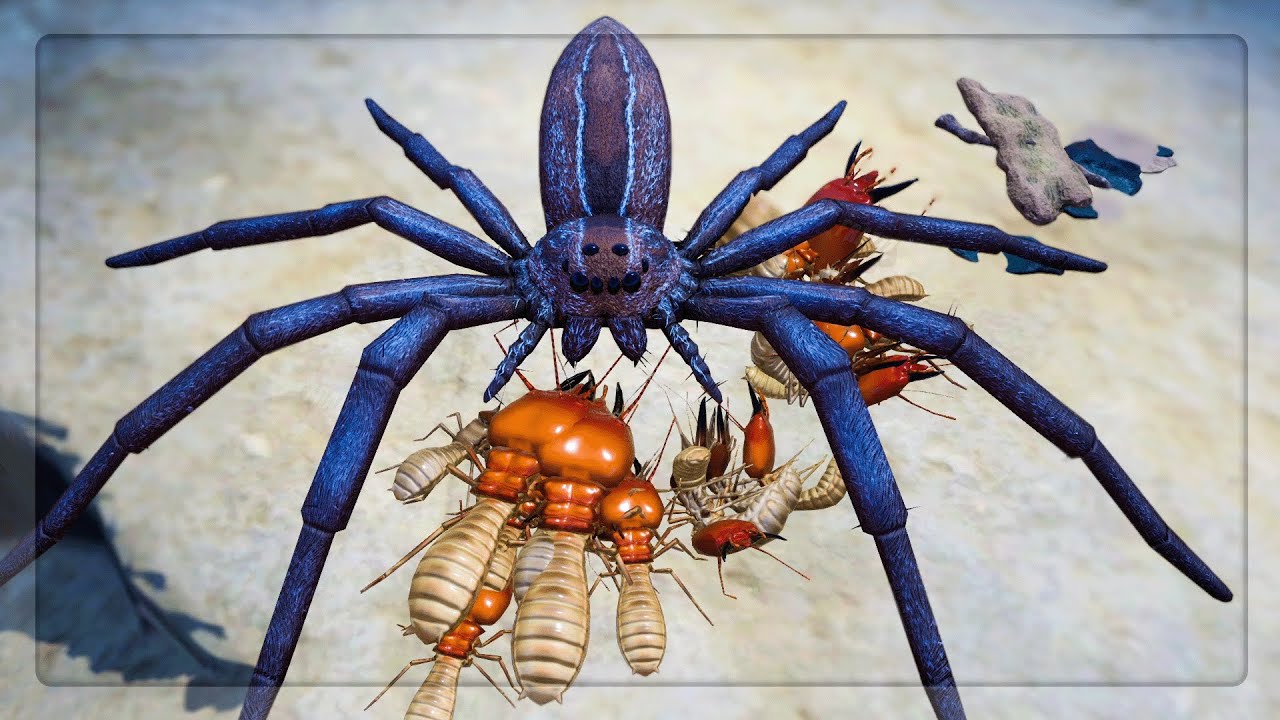 Termites VS Matabele Ants VS Black Ants VS Wood Ants in Empires Of The Undergrowth