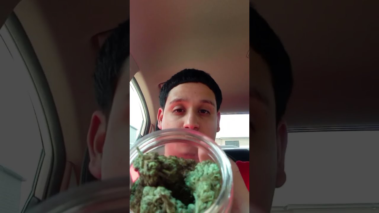 THCA Mendo Blue Cake from JK Distro review