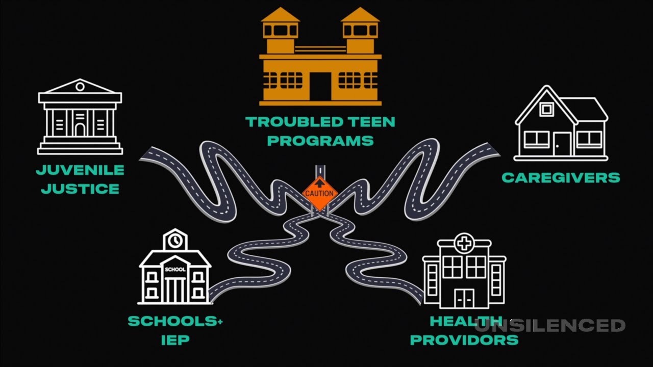 The Troubled Teen Industry