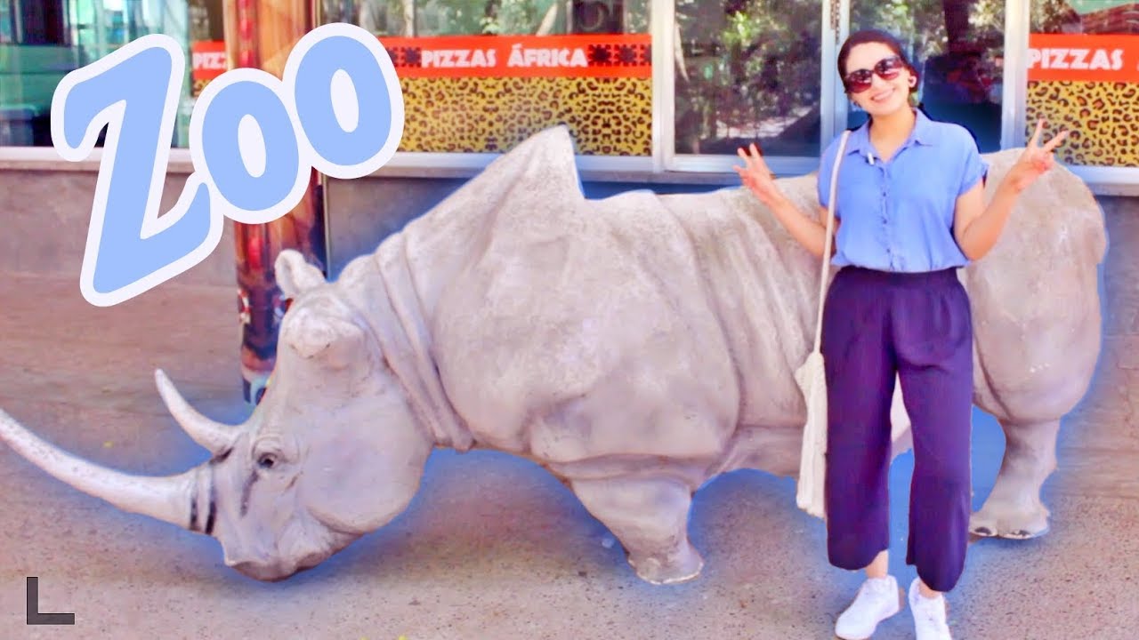 MI PRIMERA VEZ EN UN ZOOLOGICO!! | VACACIONES CULIACAN TOUR | VLOG 01