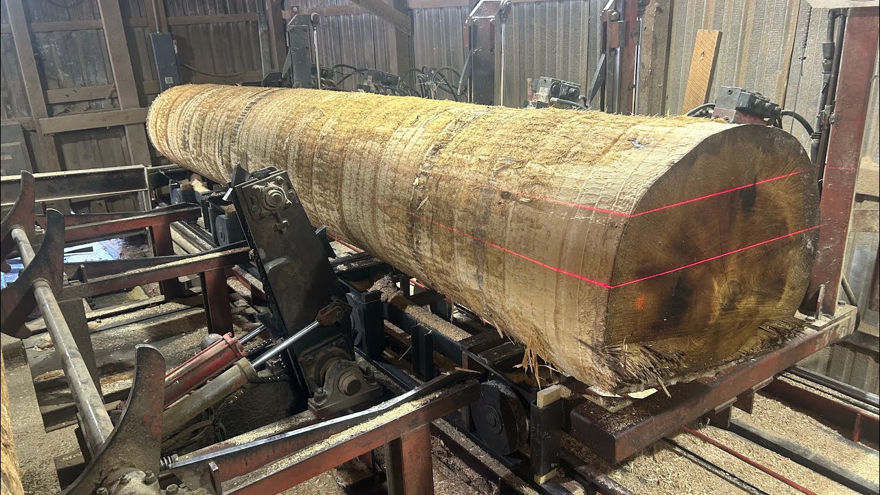 An Hour of Saw-Milling the Most Popular Poplar!! #201