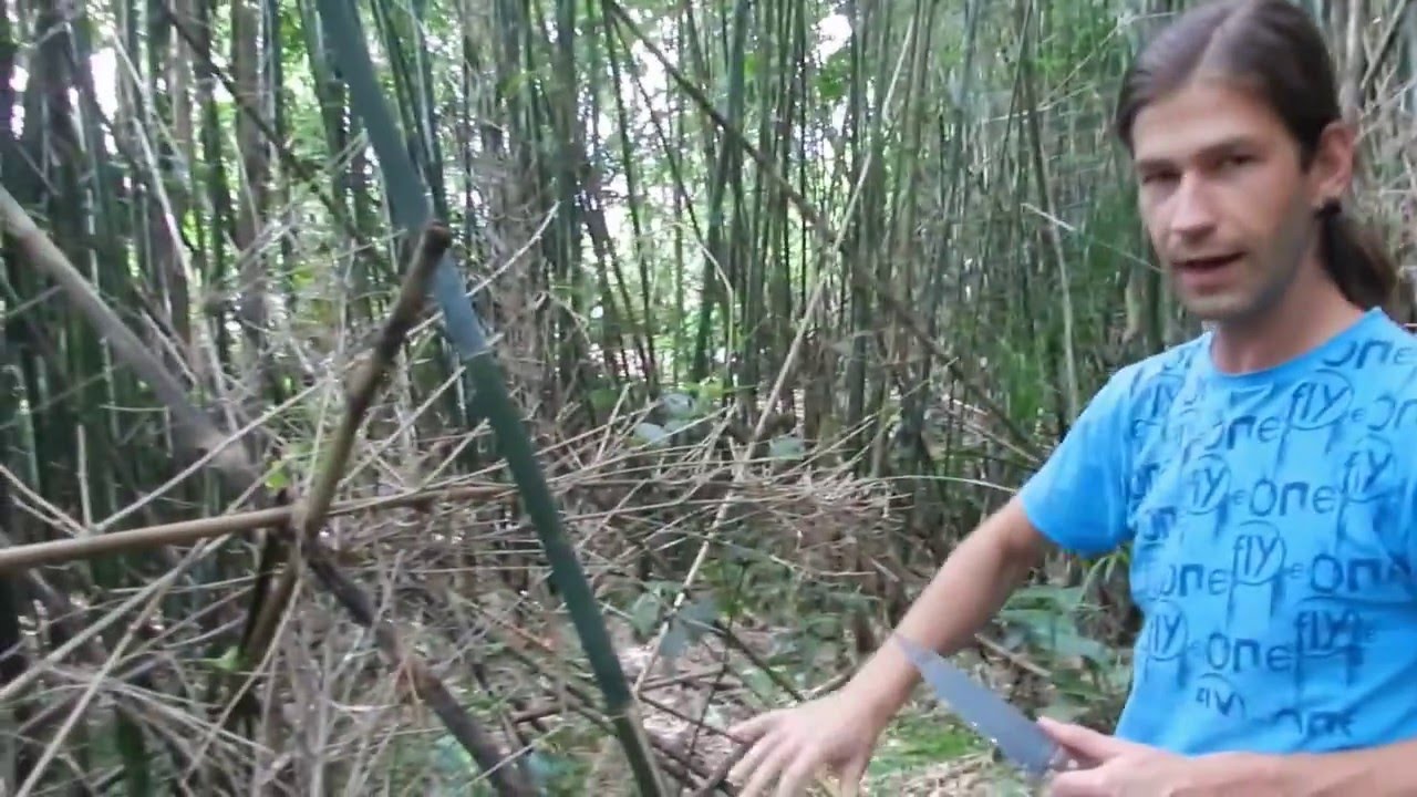 1.Construindo Pifes: colheita do bambu