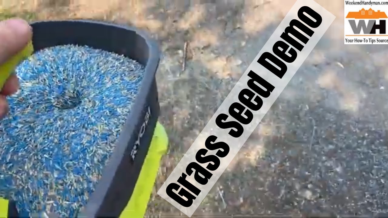 REAL LIFE DEMO: Spreading Grass Seed With The Ryobi 18V One+ Power Spreader #RyobiToolsUSA