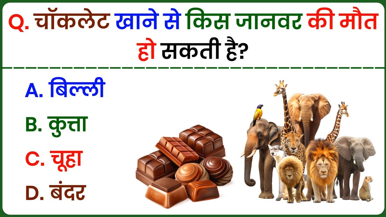 GK Question || GK In Hindi || GK Question and Answer || GK Quiz || Mystery Mind Gk || Part 6
