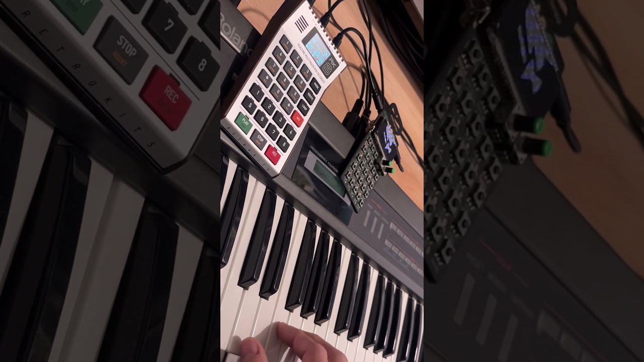 1 finger, an #alphaJuno, #PO12 and the #RK008 #music #midi #calculatorwave