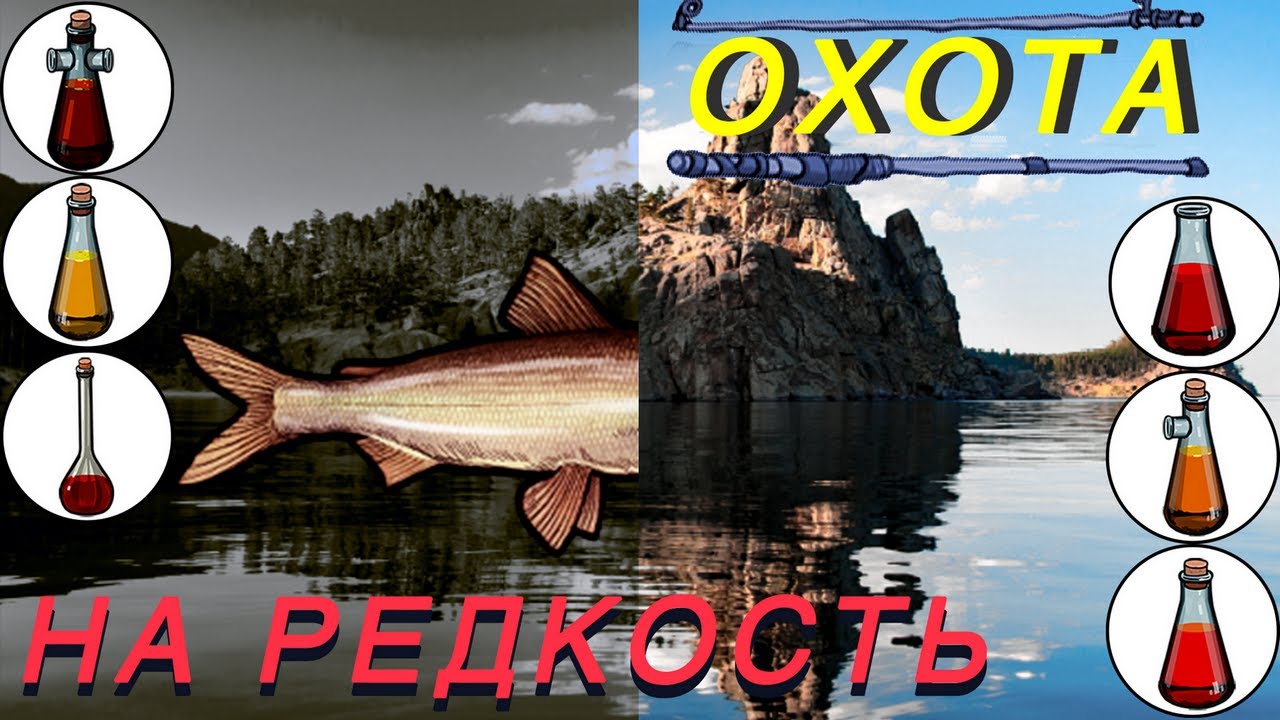 ЛОВИМ РЕДКОСТЬ НА ВСЕ ВИДЫ КРОВИ!!!~|рр3 2022|~