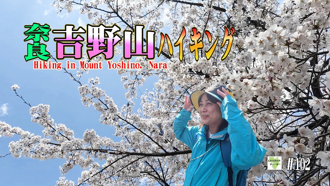 奈良吉野山ハイキング【とある会社の歩こー会】＃102　2025.4　Hiking in Mount Yoshino, Nara