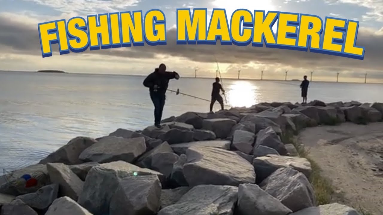 FISHING MACKEREL | FAMILY PINOY-DANE FISHING GROUP IN COPENHAGEN