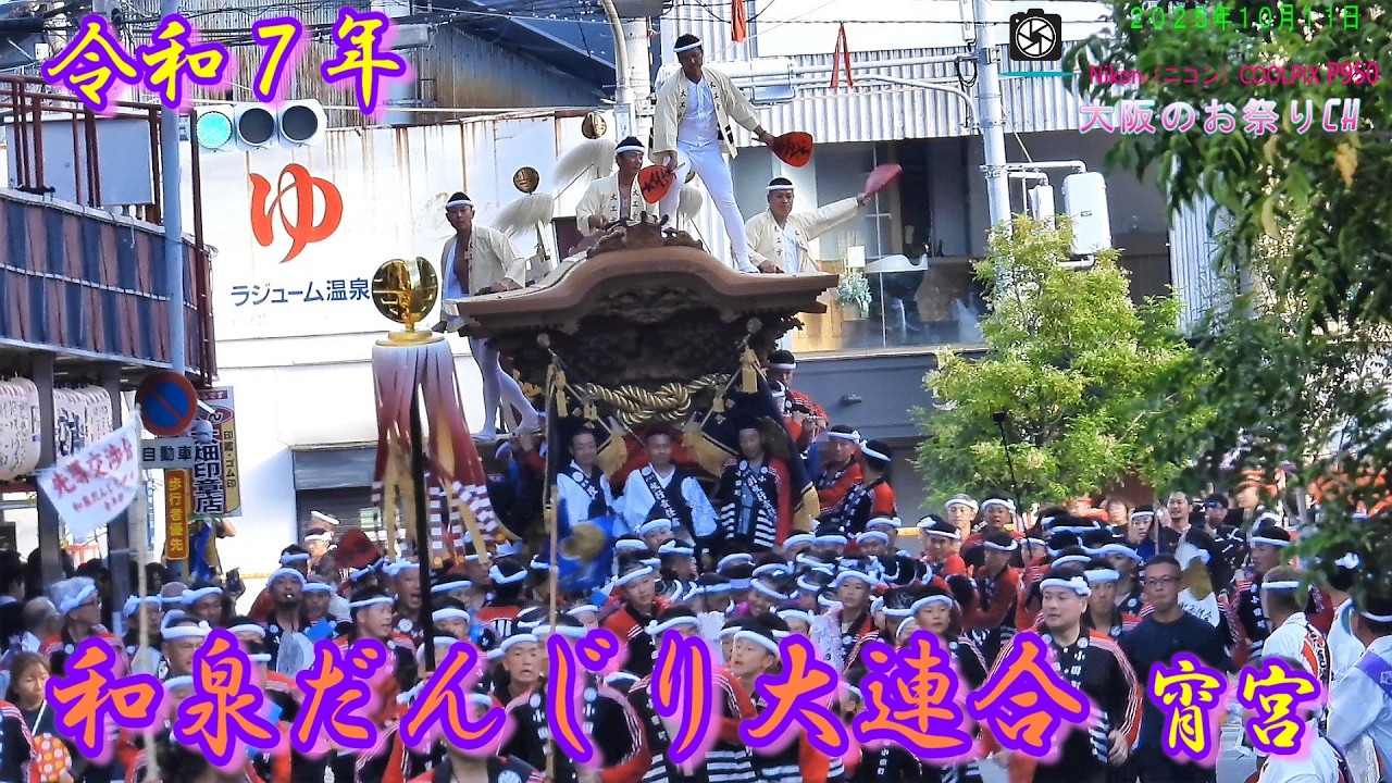 【4K】令和7年 和泉だんじり大連合 宵宮 迫力の地車曳行（2025.10.11）