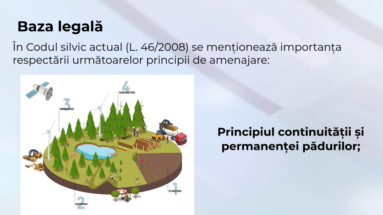 Principii de amenajare a pădurilor