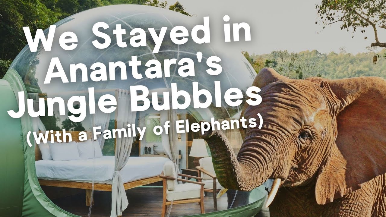 We Spent the Night with 2 Elephants in a 2-Bedroom Bubble Tent in the Jungle