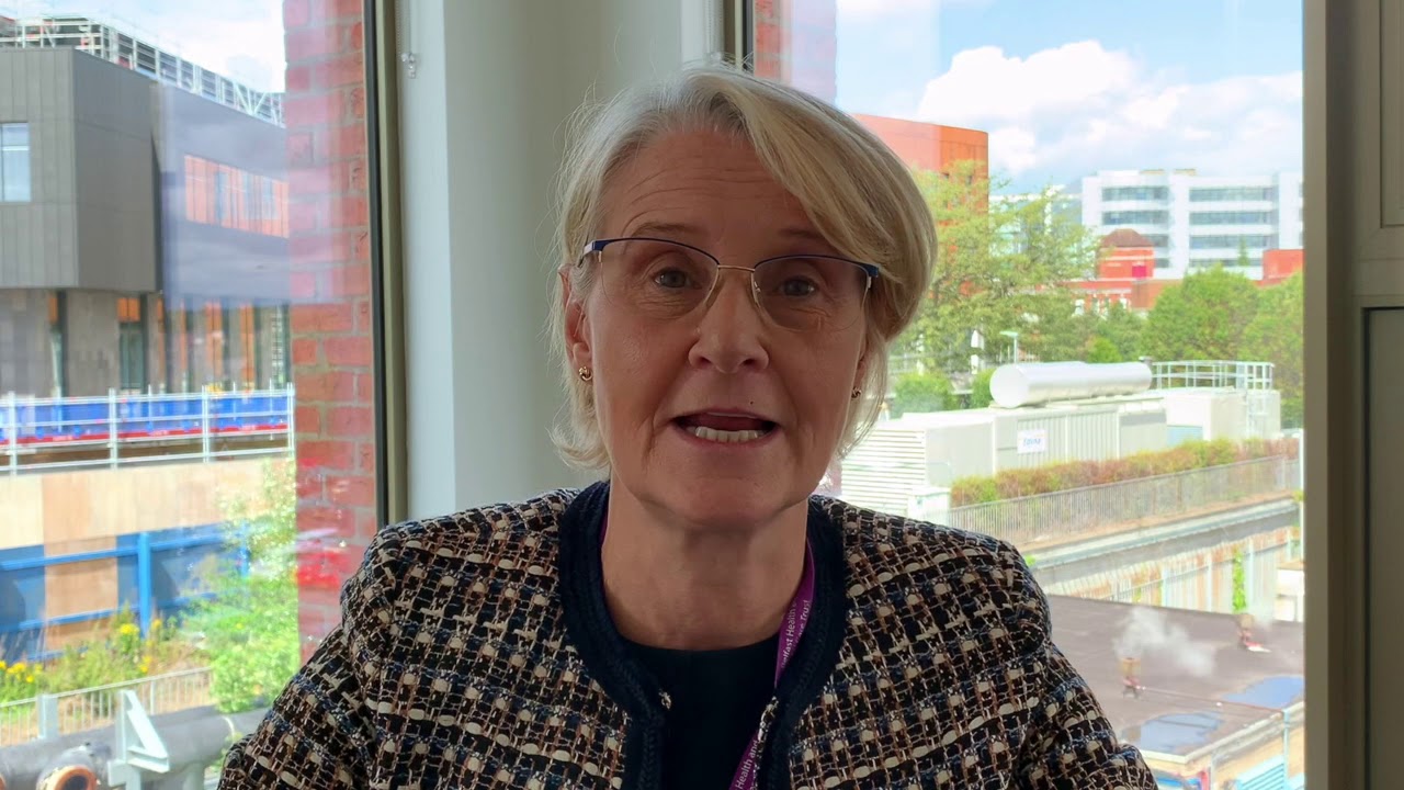Chief Executive Update