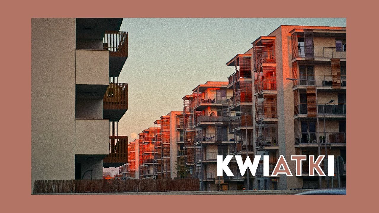 KWIATKI SĄ czyli epic amongus 1000 iq dream clutch importor super sus battle royale moments