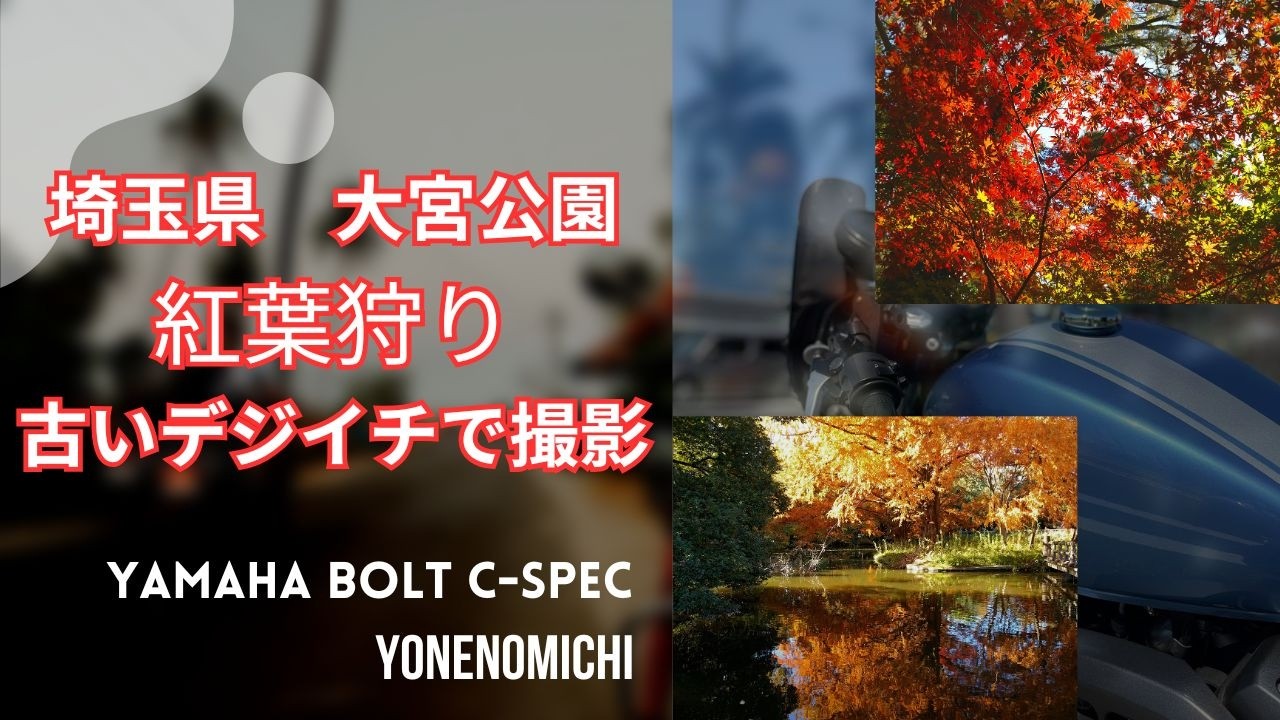 【バイク】２０２５年11月22日　大宮公園の紅葉　ヤマハボルト　C-SPEC