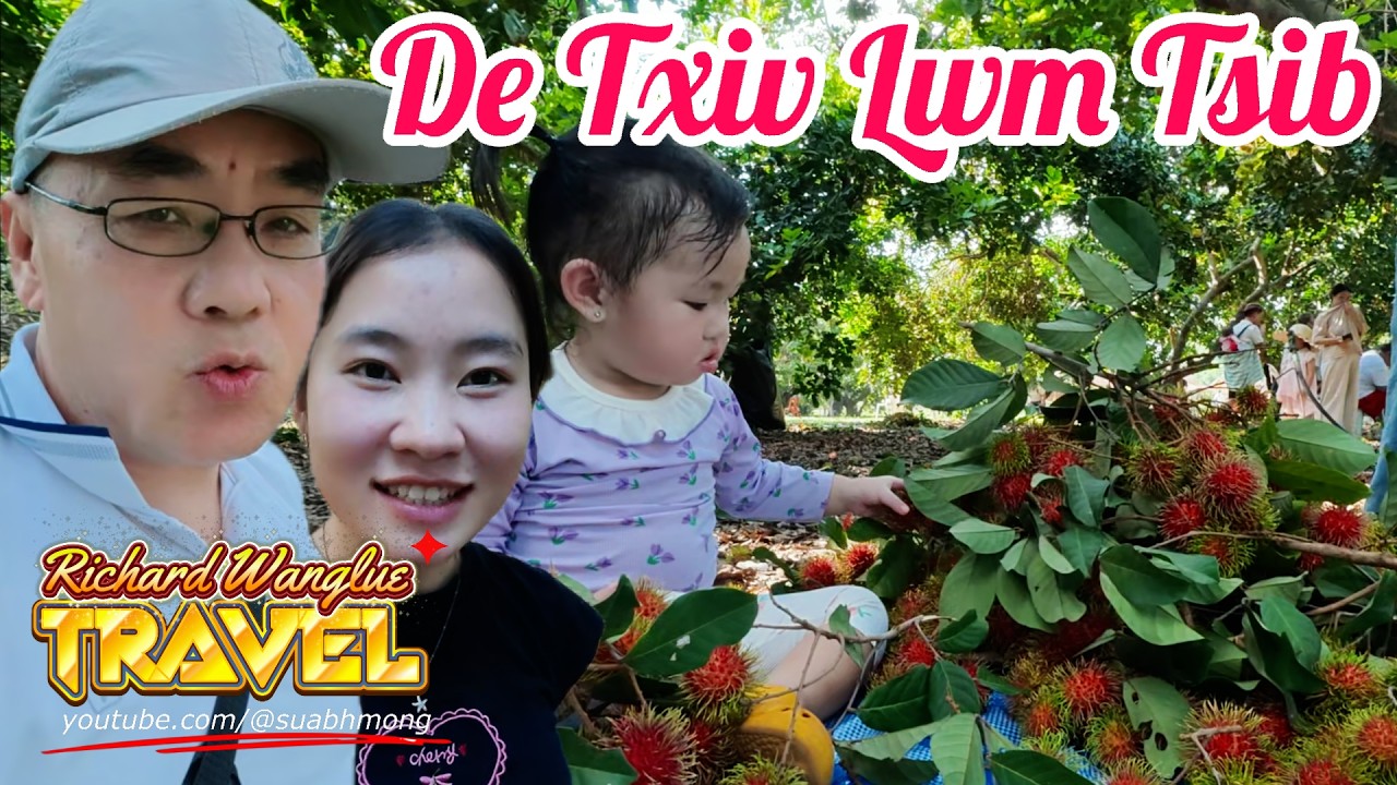05/31/2026 - Mus de txiv Lwm Tsib nyob rau ntawm MA MOUA FARM (ມາມົວຟາມ) hauv xeev Vias Cas