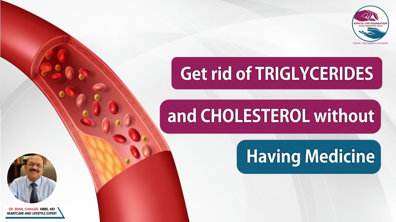 Get rid of triglycerides and cholesterol without having medicine | Punyya Life Foundation