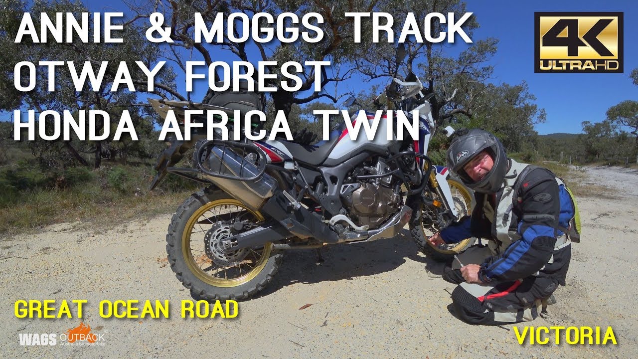 Gentle Annie & Moggs Track Otway Forest Honda Africa Twin Motorbike