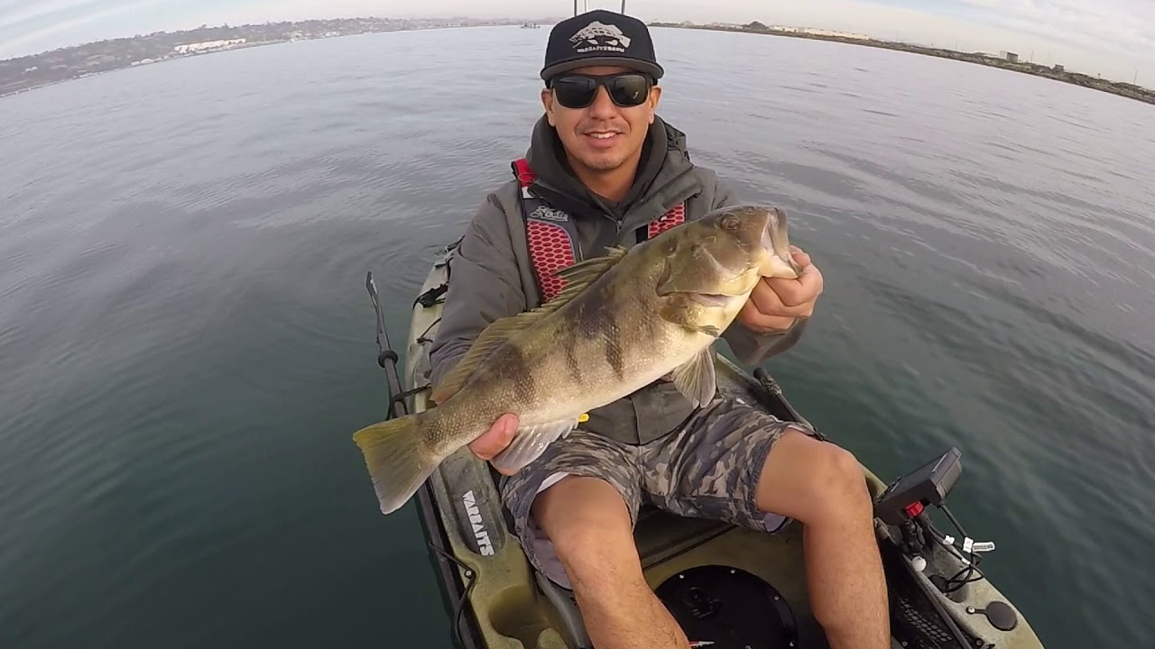 Deep Drops | San Diego Bay | Sand Bass, Spottie, Calico