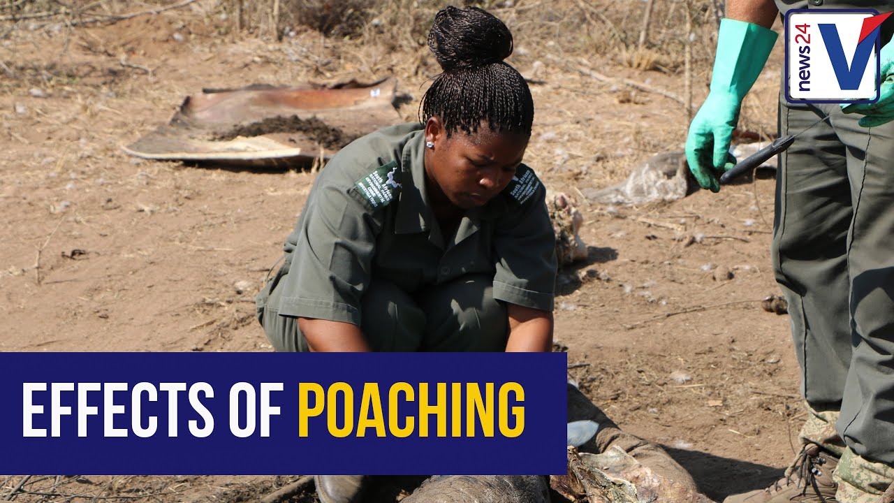 Effects of poaching on KNP rangers