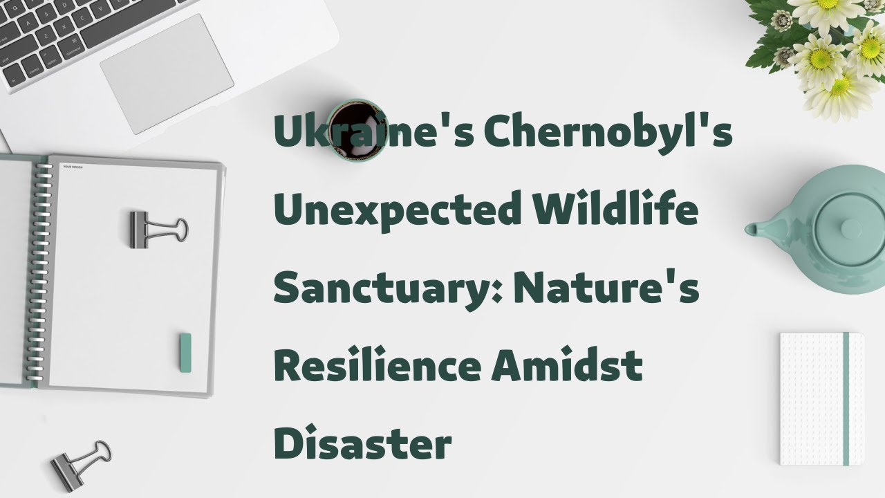 Ukraine's Chernobyl's Unexpected Wildlife Sanctuary: Nature's Resilience Amidst Disaster