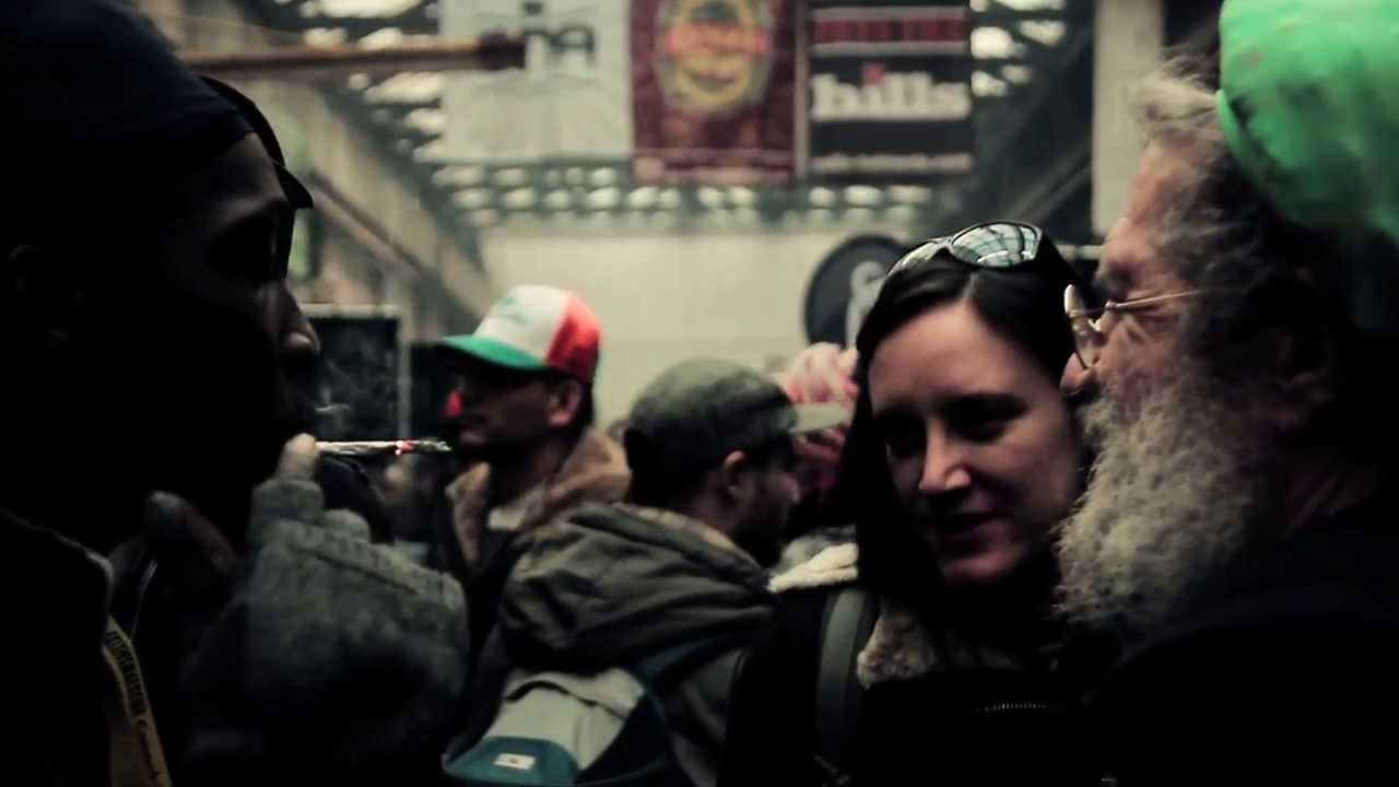 Cannabis Cup 2013 - First day at Soma's Sacred Seed