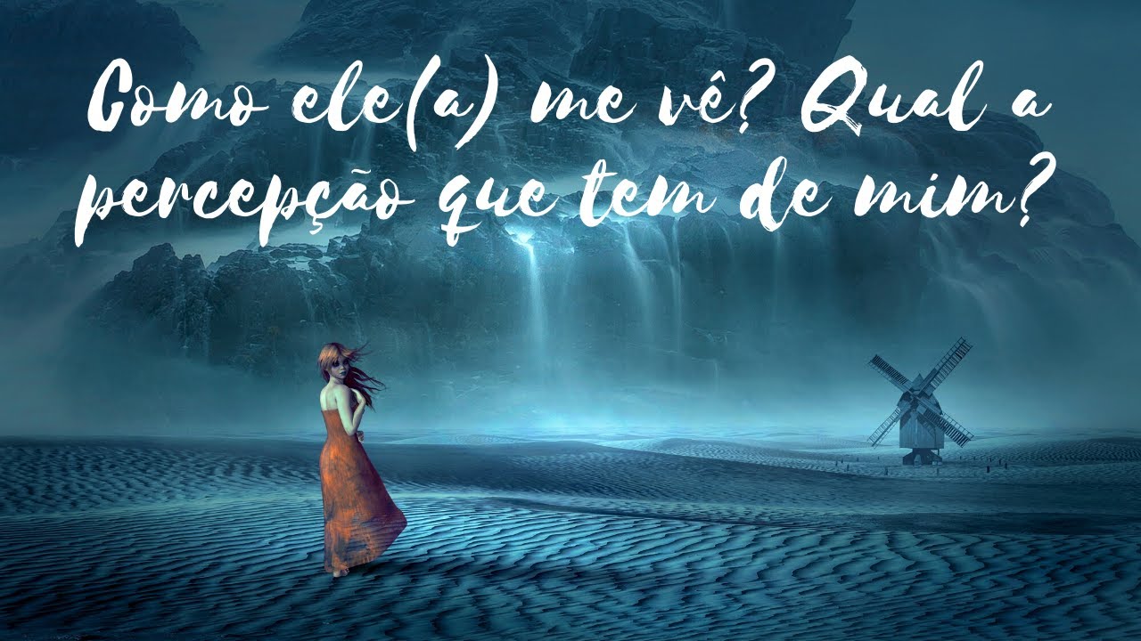 Como ele(a) me vê? Qual a percepção que tem de mim?