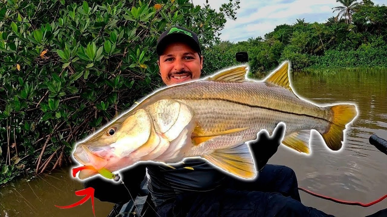 Apliquei a TÉCNICA certa e o Resultado foi Esse ROBALO GIGANTE | pescaria