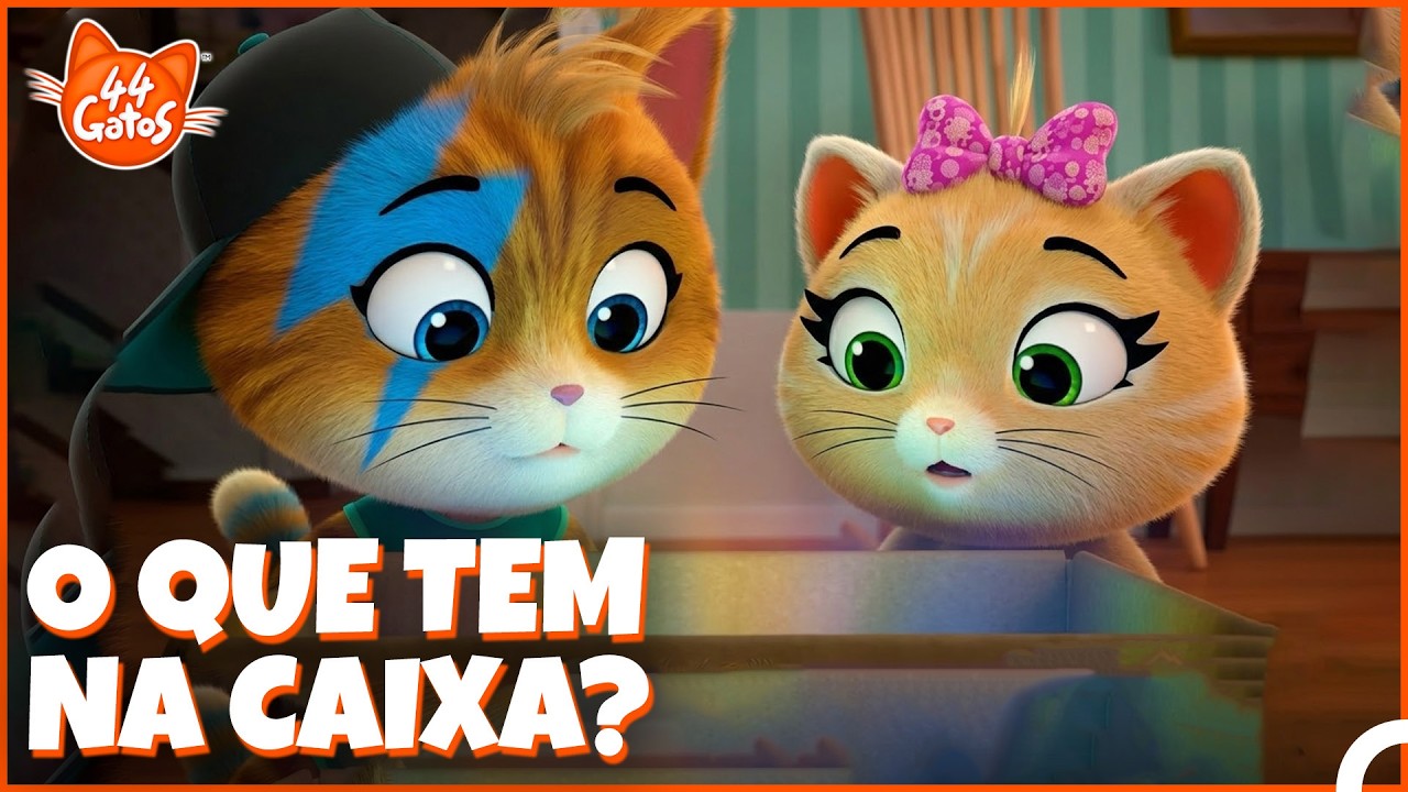 44 Gatos | Abrimos a caixa e não acreditamos no que vimos 😮