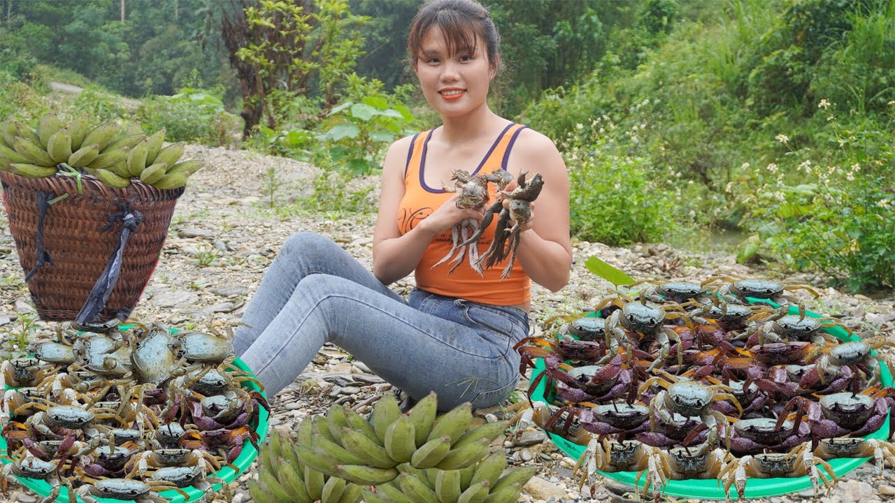 Encountering groups of frogs naturally, Harvesting fish when the flood comes