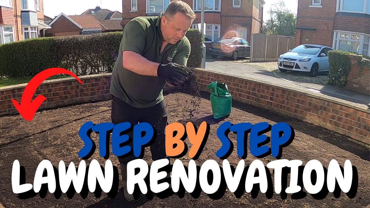 How To Do A Full Lawn Renovation – Step By Step Guide