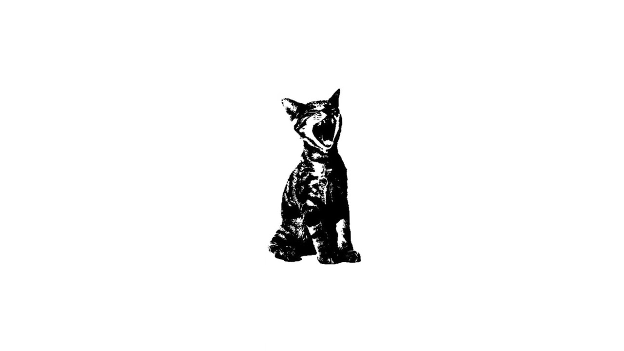 FREE LOOP KIT 