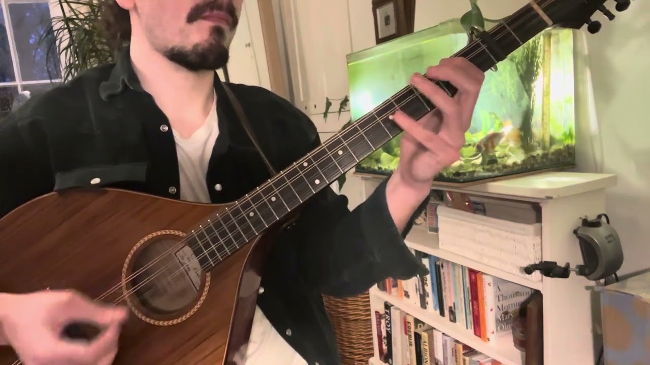 Irish Bouzouki - Dinny Delaney’s