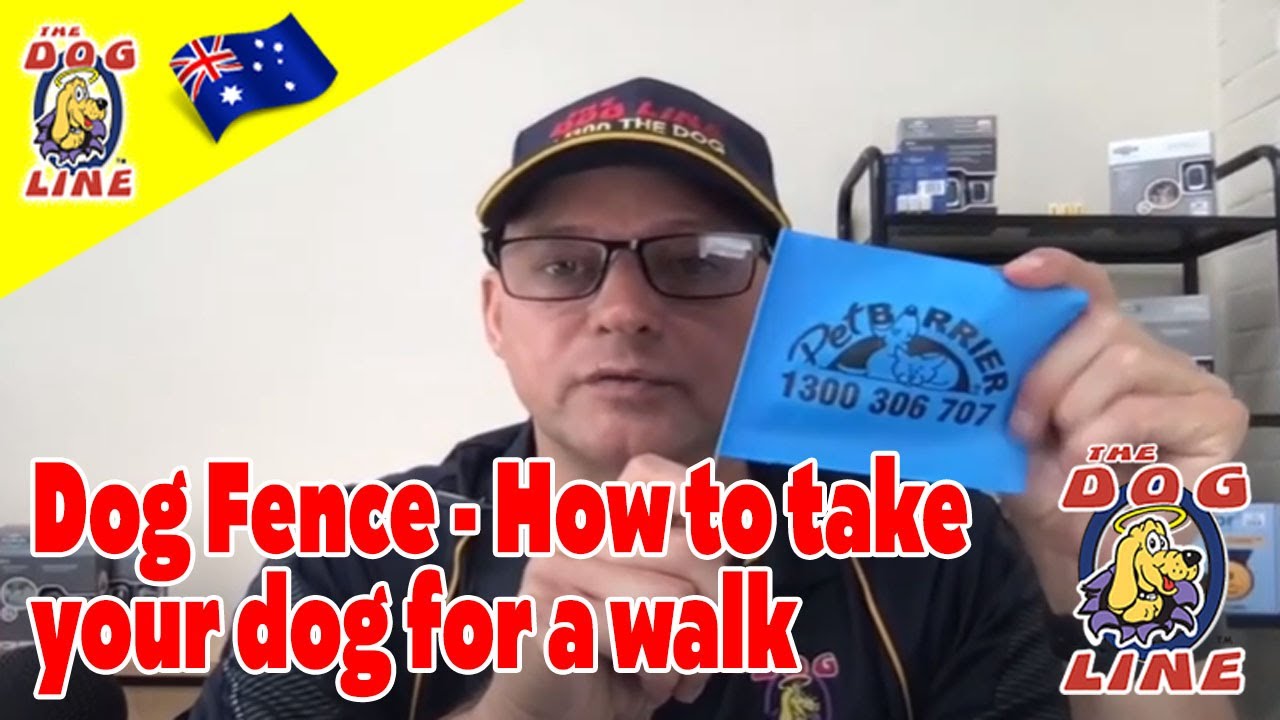 Dog Fence Q. How do i take my dog for a walk.