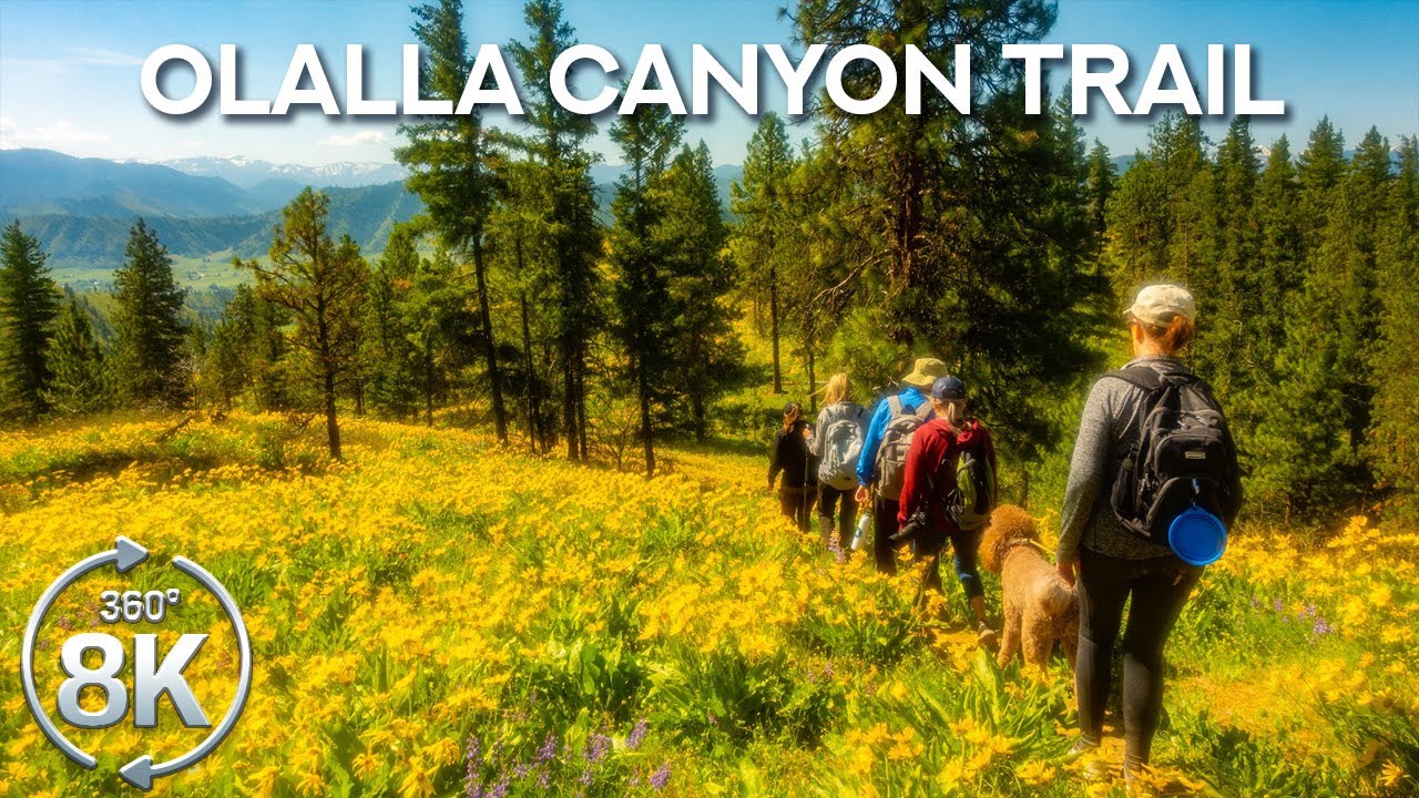 Olalla Canyon Ridge Wildflower Trail 8K | 360° VR Virtual Nature Hike for Treadmill Workouts