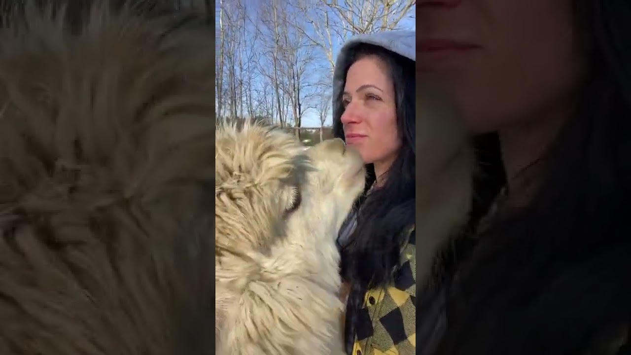 Good morning and good night from all of us here except Brad