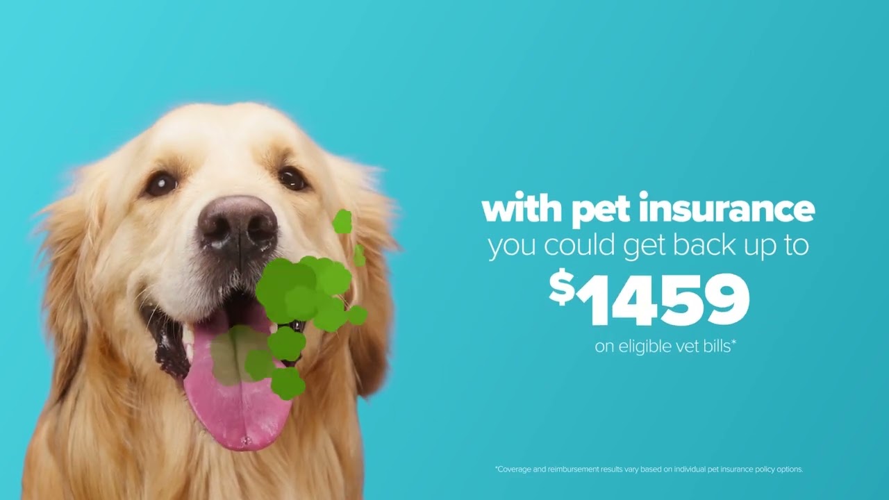 Fight Bad Breath with Dog Insurance that includes Dental Coverage