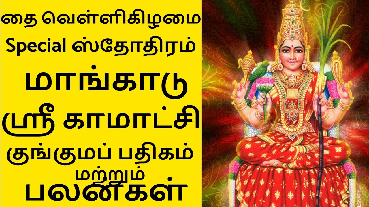  🪔தை வெள்ளிக்கிழமை Special | மாங்காடு ஸ்ரீ காமாட்சி அம்மன் குங்குமப் பதிகம் | All In One Zone 
