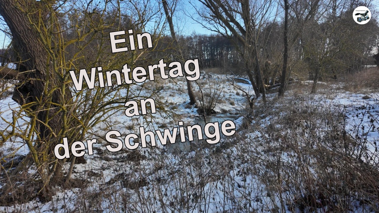 Die Schwinge an einem schönen Wintertag 15-022026