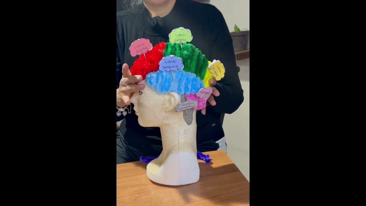 El proceso neurofisiológico del lenguaje