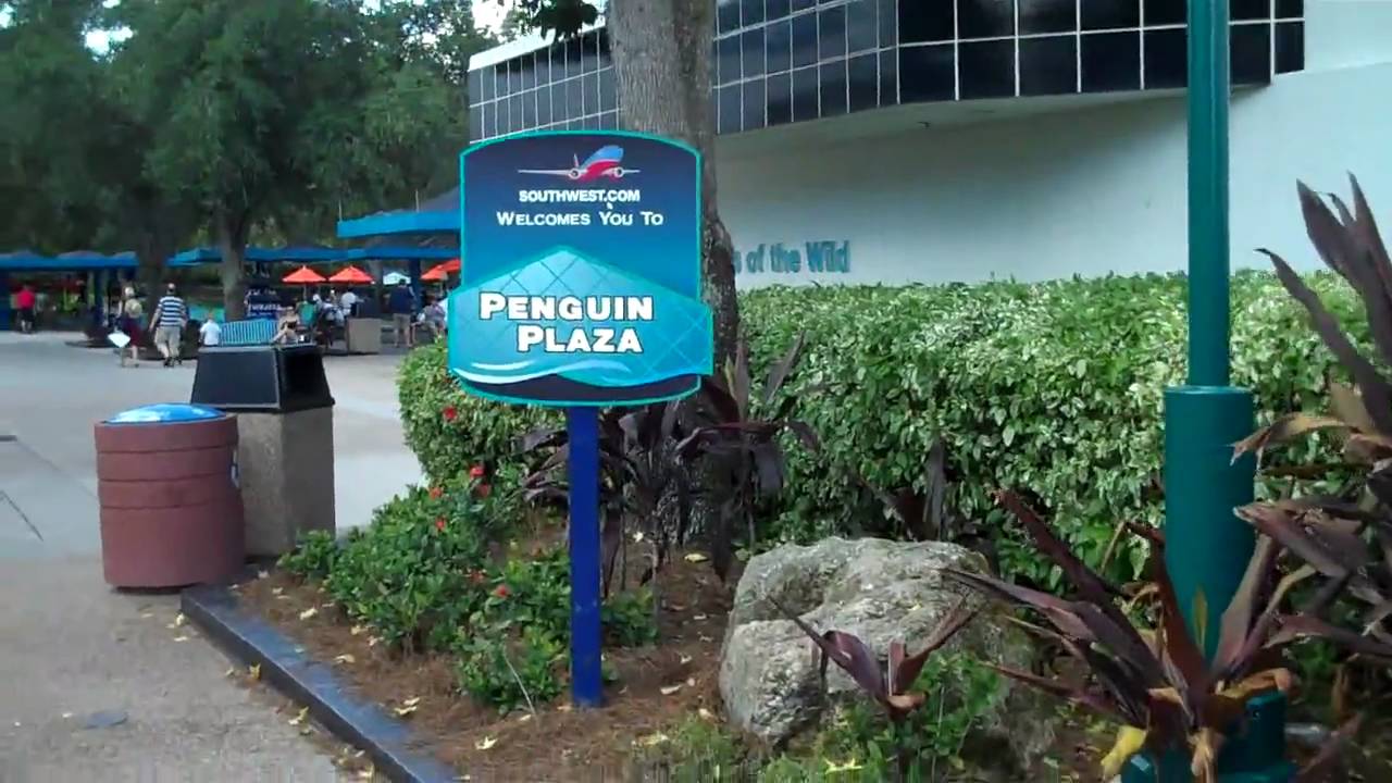 Arctic Adventure: SeaWorld Orlando Penguin Encounter Full Walkthrough 2010