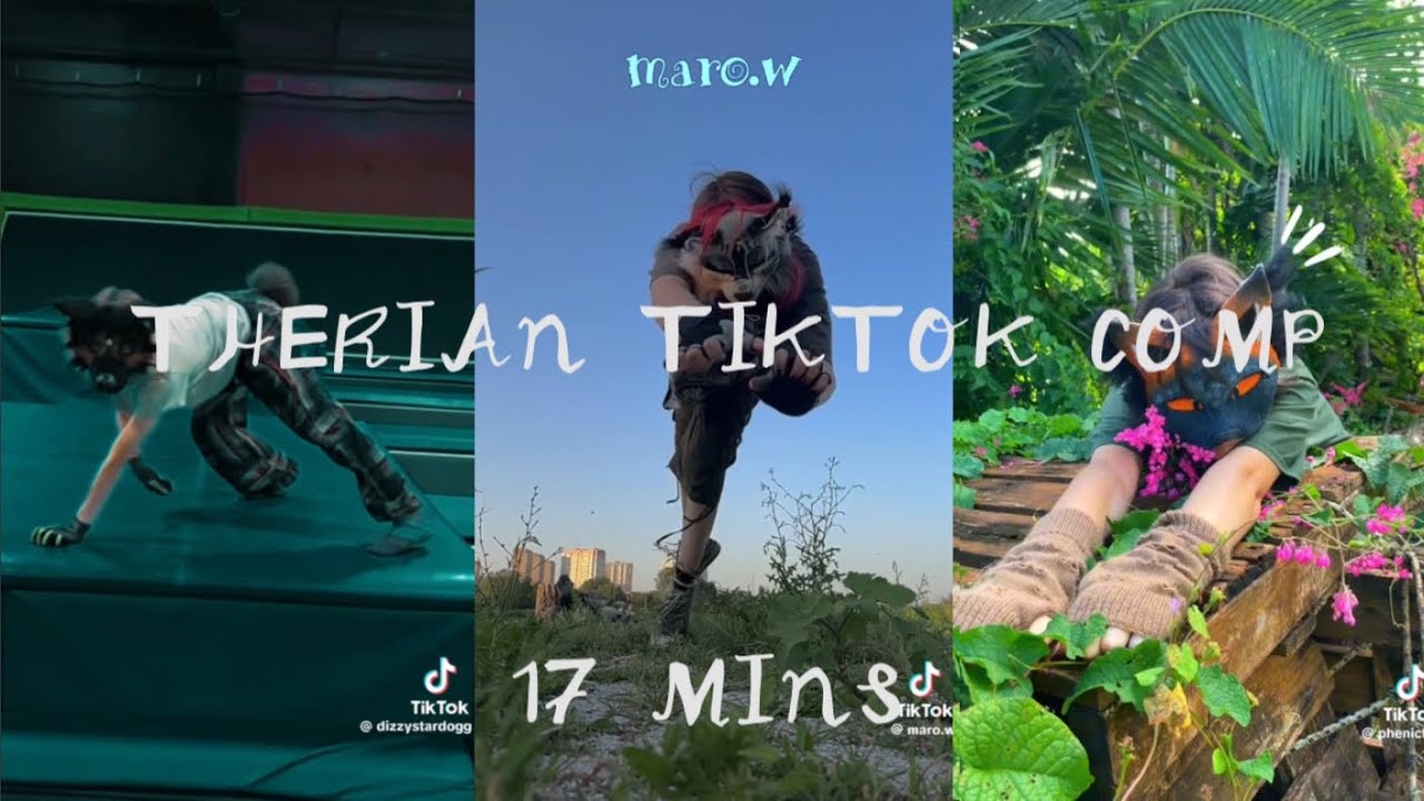 Therian TikTok compilation #1 (17 mins)