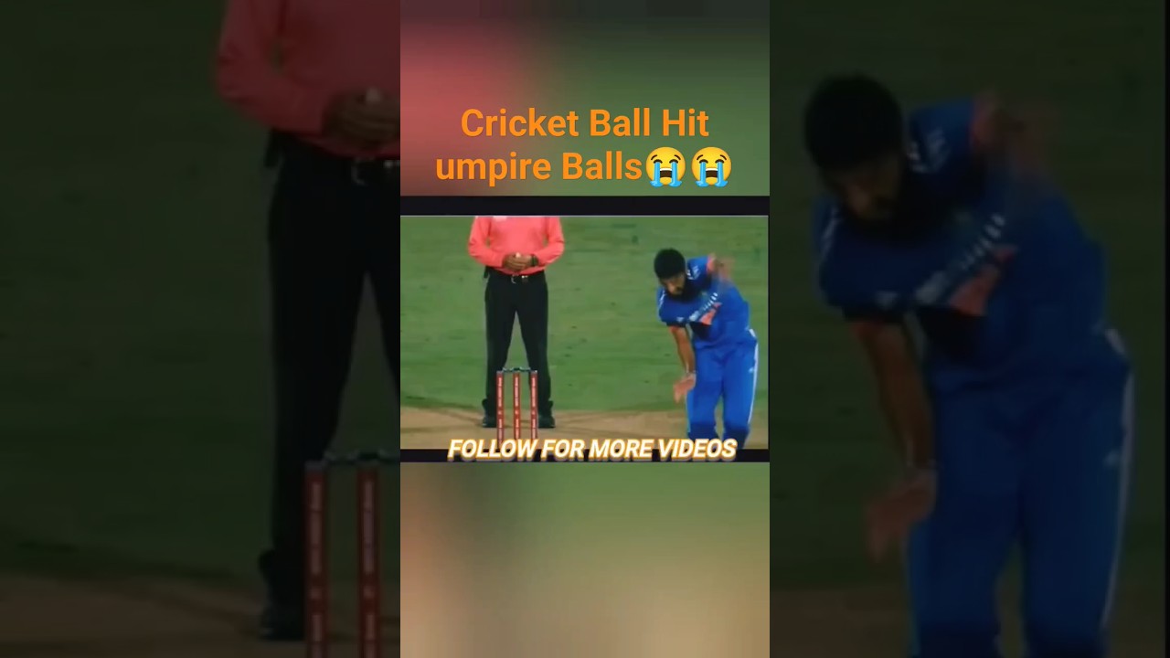Ball Hit Umpire Balls #cricket #cricketlover #funny #comedy #shorts