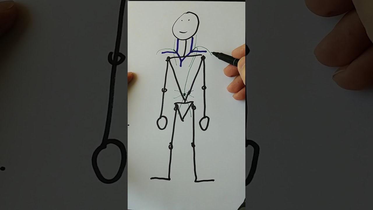 Anatomia w pigułce. U. naczyniowy VI. U. limfatyczny. Odprowadzenia chłonki. Podstawy.