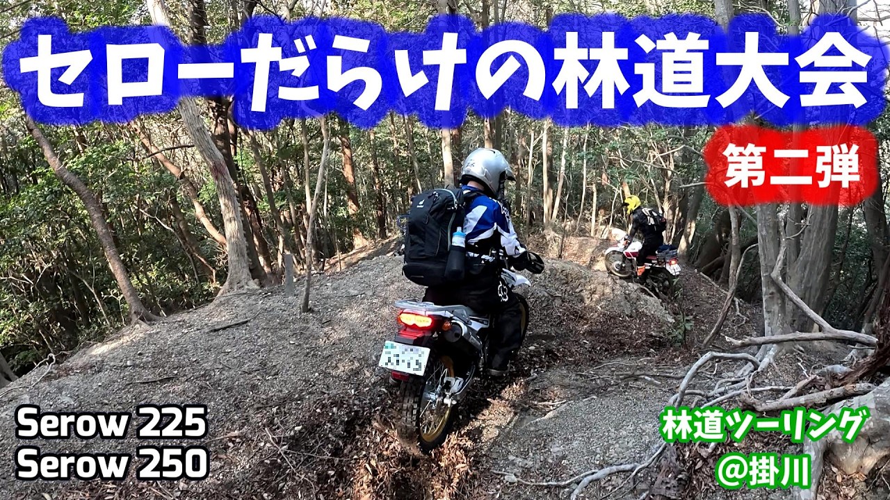 【林道ツーリング@掛川】セローだらけの林道大会【第二弾】 (Dirt Trail Tour Japan) Vol.283