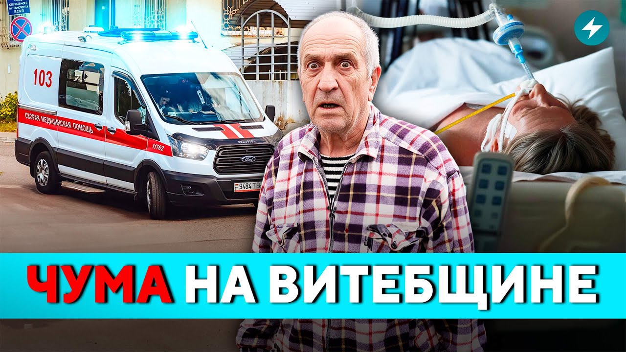 Эпидемия на фермах: скот погибает, а власти скрывают правду! Что будет с мясом? // Новости